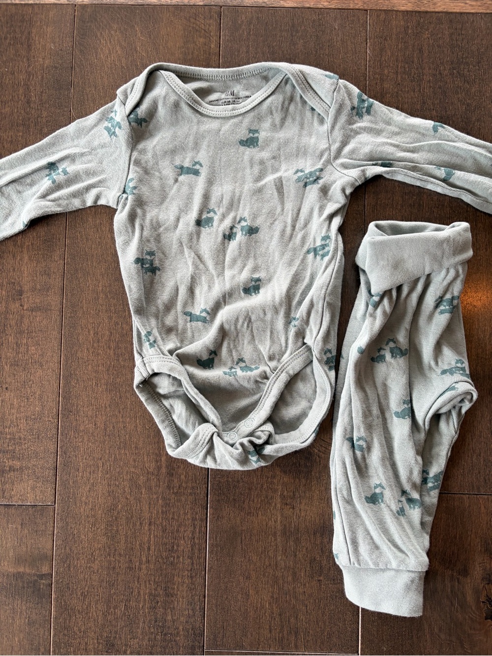 H&M Light Green Long-Sleeve Baby Bodysuit & Pants Set with Teal Animal Print